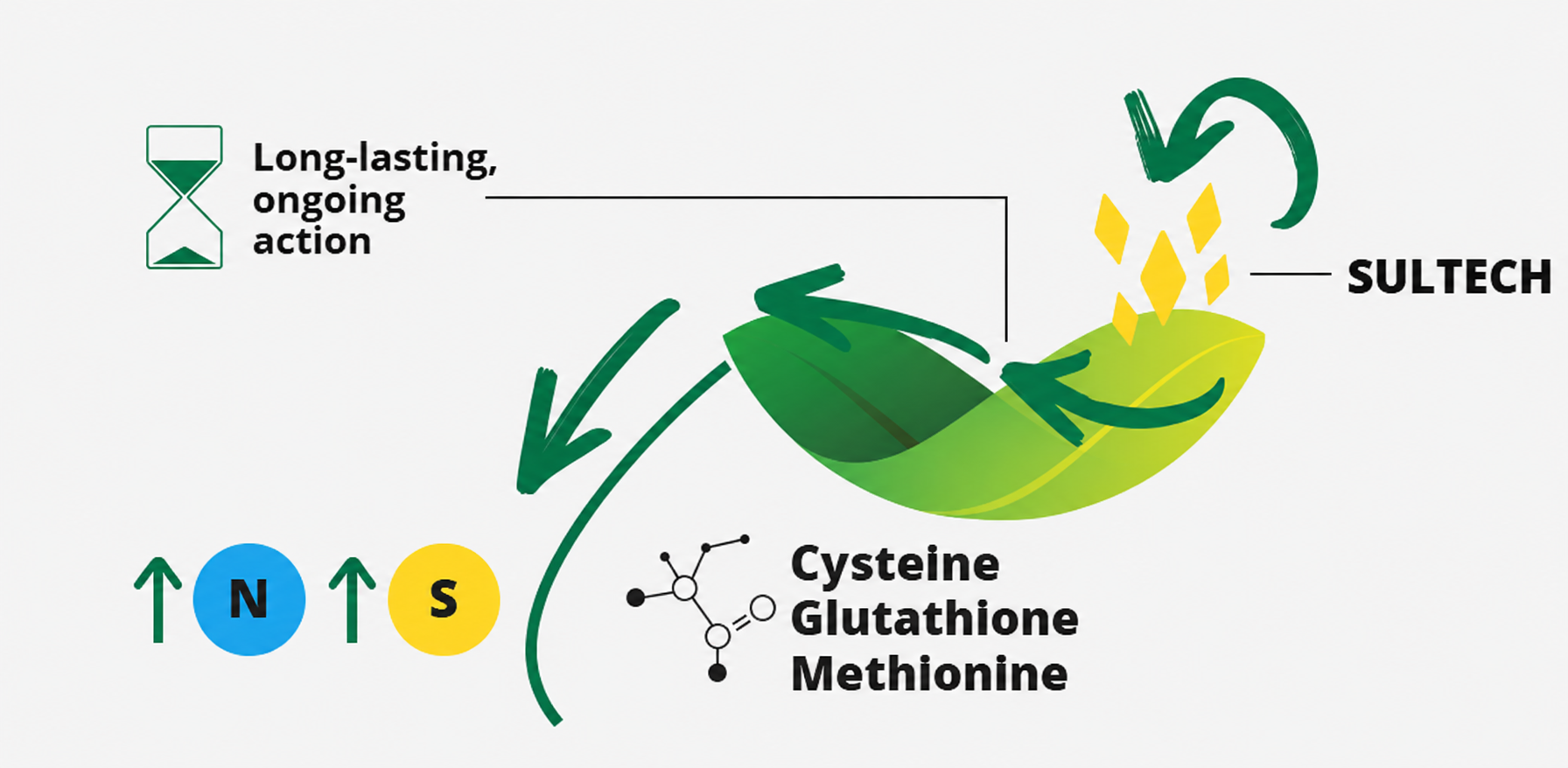 sultech foliar