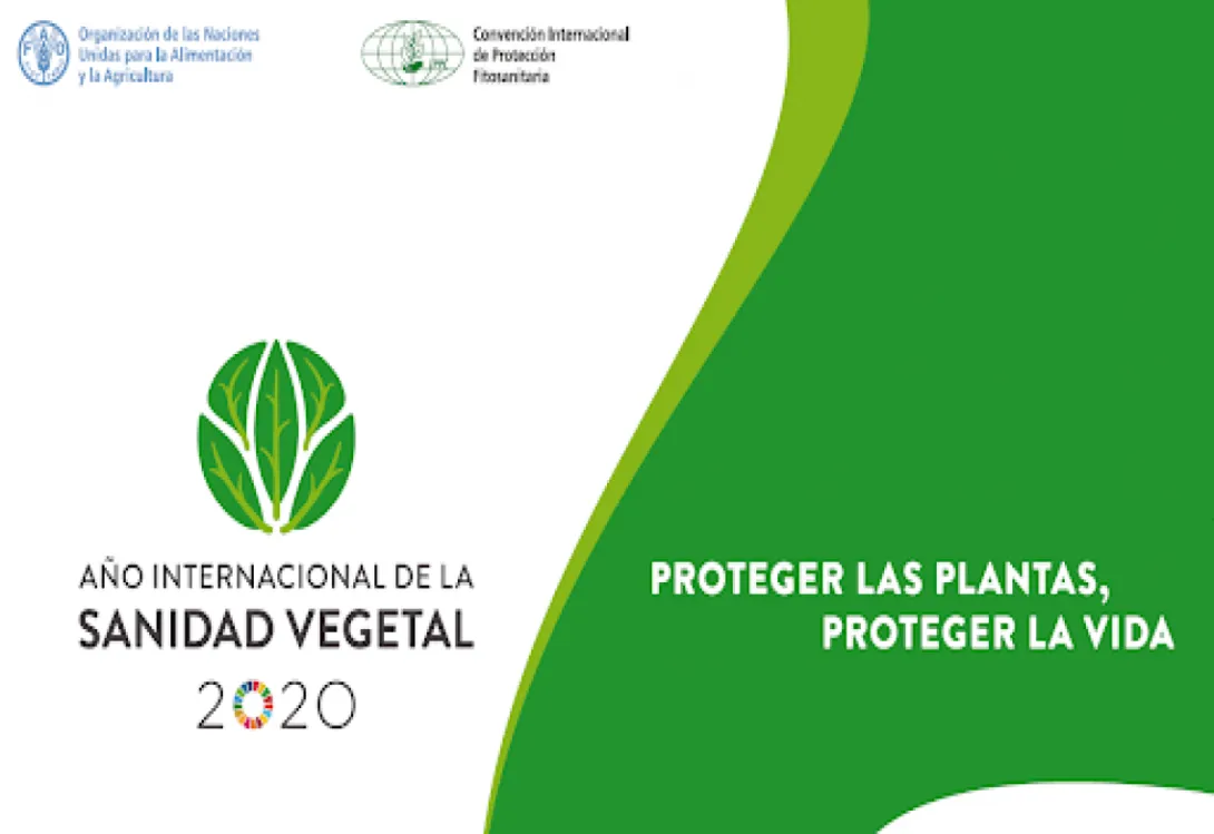 2020, un año para poner en valor el papel de los productos fitosanitarios