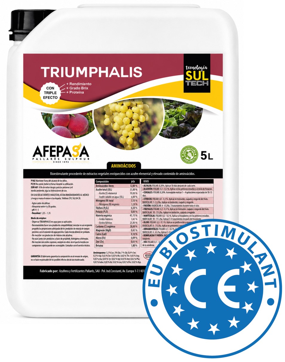 TRIUMPHALIS